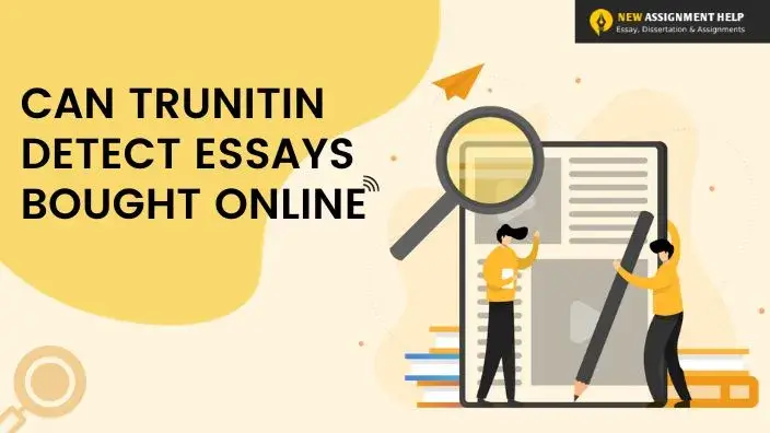 Can turnitin detects essays bought online
